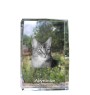 Abessinier - Kristall mit einem Katzenbild, Bild im Glas, moderne Ausstellung des Art-Dog-Fotos.