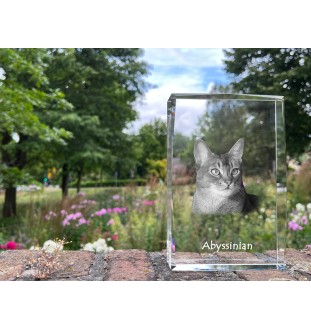 Abessinier - Kristall mit einem Katzenbild, Bild im Glas, moderne Ausstellung des Art-Dog-Fotos.