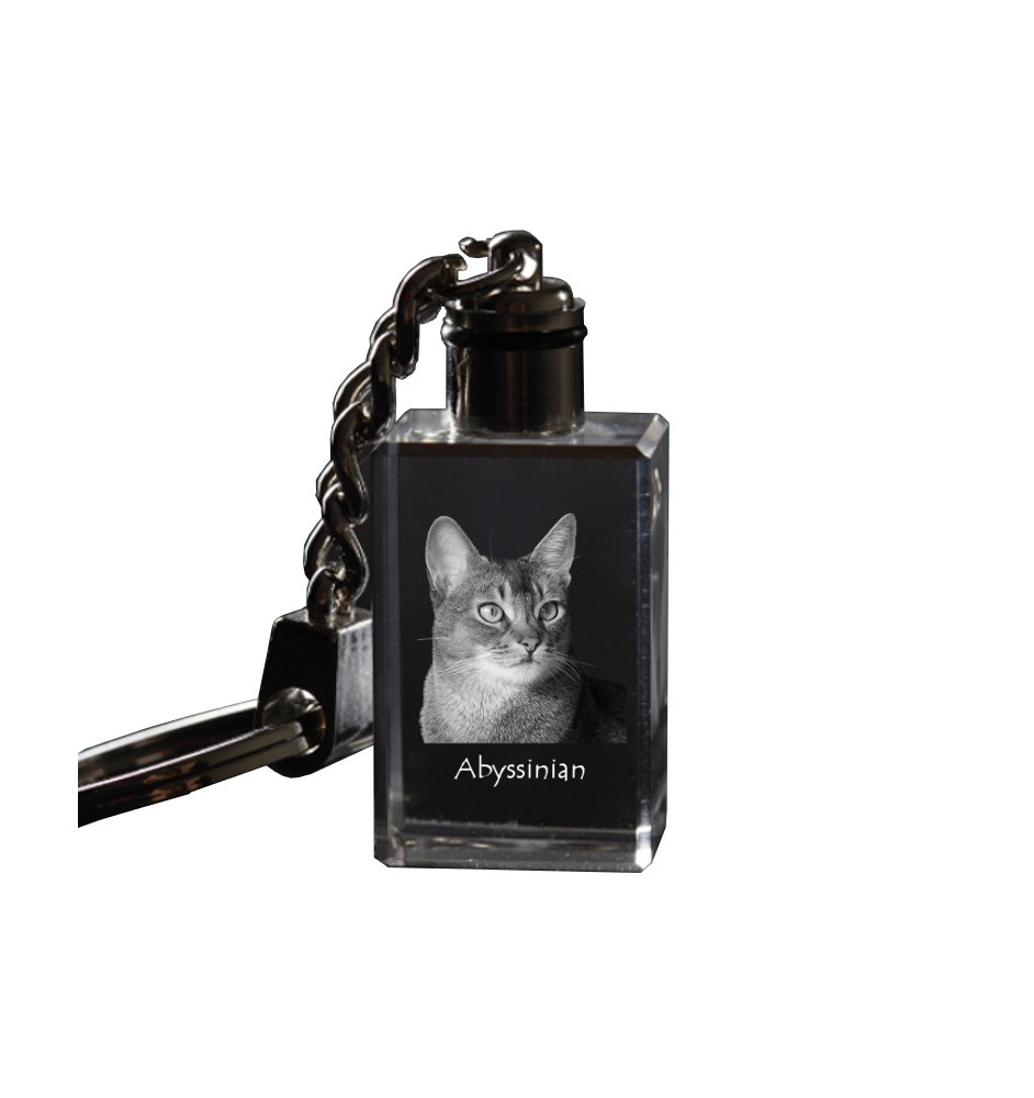 Abyssinian - Crystal pendant with cat photo, illuminated pendant, unique gift by Art-Dog brand