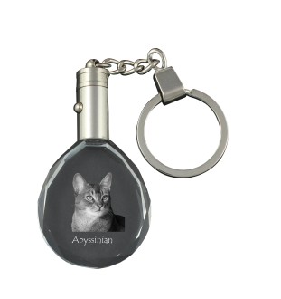 Abyssinian - Fob with cat photo, crystal key ring in gift box, unique gift by Art-Dog brand