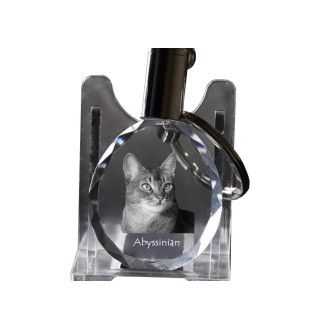 Abessinier - Fob with cat photo, crystal key ring in gift box, unique gift by Art-Dog brand