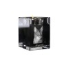 Abyssin - Bougeoir avec photo de chat, porte bougie en cristal, cadeau personnalisé par la marque Art-Dog