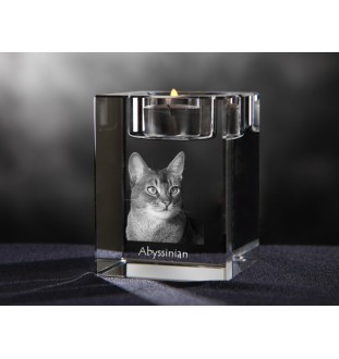 Abyssinian - Candle holder with cat photo, crystal tealight holder, personalised gift by Art-Dog brand