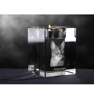 Abyssinian - Candle holder with cat photo, crystal tealight holder, personalised gift by Art-Dog brand