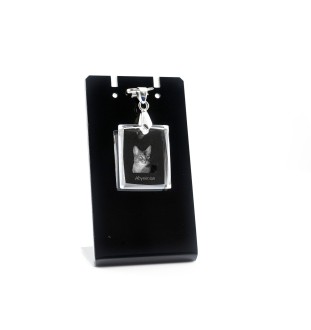 Abessinier - Crystal cat pendant, photo necklace, unique jewellery by Art-Dog