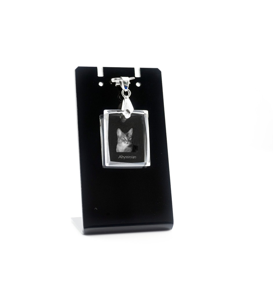 Abessinier - Crystal cat pendant, photo necklace, unique jewellery by Art-Dog