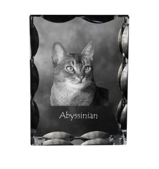 Abessinier - Kristall mit Katzenbild, Glasstatuette mit Bild, einzigartiger Bilderrahmen der Marke Art-Dog