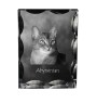 Abyssinian - crystal with a cat picture, glass statuette with a picture, unique frame with a picture from Art-Dog brand