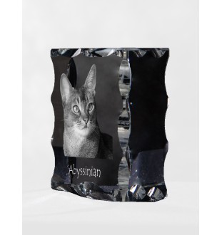Abessinier - Kristall mit Katzenbild, Glasstatuette mit Bild, einzigartiger Bilderrahmen der Marke Art-Dog