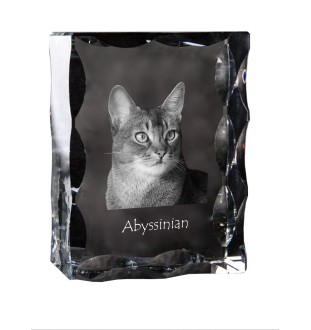 Abyssinian - crystal with a cat picture, glass statuette with a picture, unique frame with a picture from Art-Dog brand