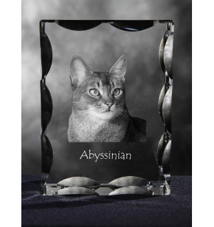 Abisyński ramka kryształowa z kotem Art-Dog