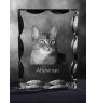 Abyssinian - crystal with a cat picture, glass statuette with a picture, unique frame with a picture from Art-Dog brand