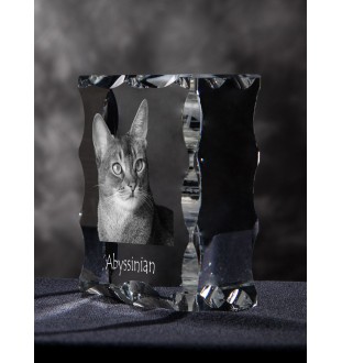Abessinier - Kristall mit Katzenbild, Glasstatuette mit Bild, einzigartiger Bilderrahmen der Marke Art-Dog