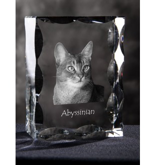 Abessinier - Kristall mit Katzenbild, Glasstatuette mit Bild, einzigartiger Bilderrahmen der Marke Art-Dog