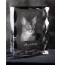 Abyssinian - crystal with a cat picture, glass statuette with a picture, unique frame with a picture from Art-Dog brand