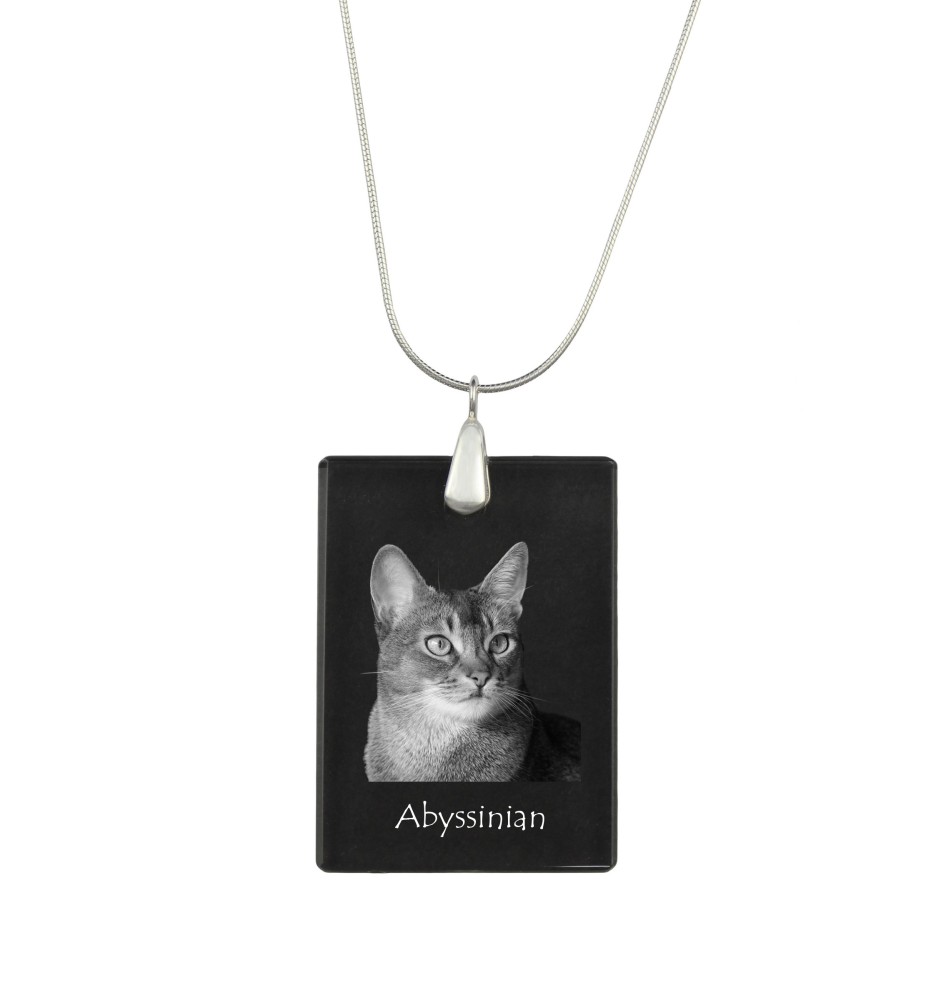 Abessinier - Crystal pendant with cat, silver necklace with photo, personalised pendant by Art-Dog brand