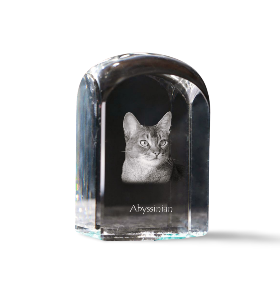 Abyssinian - crystal cube with a photo, photo of a cat in crystal, cubic paperweight from Art-Dog brand