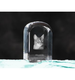 Abyssinian - crystal cube with a photo, photo of a cat in crystal, cubic paperweight from Art-Dog brand