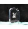 Abyssinian - crystal cube with a photo, photo of a cat in crystal, cubic paperweight from Art-Dog brand