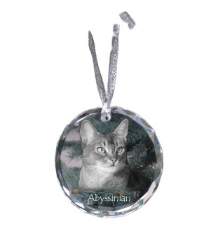 Abyssinian - crystal bauble with a photo, photo of a cat in crystal, personalized Christmas tree ornament by Art-Dog brand