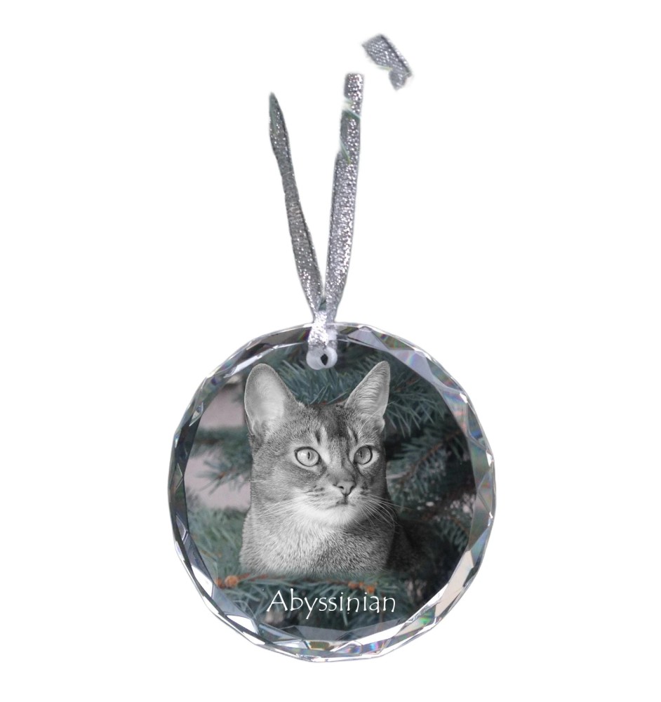 Abyssinian - crystal bauble with a photo, photo of a cat in crystal, personalized Christmas tree ornament by Art-Dog brand