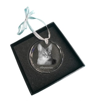 Abyssinian - crystal bauble with a photo, photo of a cat in crystal, personalized Christmas tree ornament by Art-Dog brand
