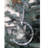 Abyssin - boule de Noël en cristal avec une photo, photo d'un chat dans le cristal, décoration personnalisée pour sapin de Noël de la marque Art-Dog
