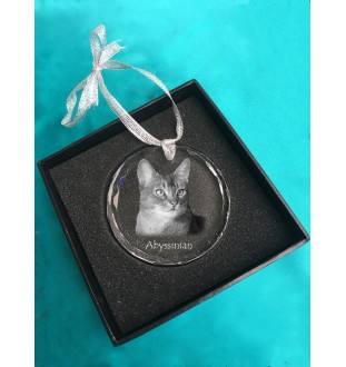 Abyssinian - crystal bauble with a photo, photo of a cat in crystal, personalized Christmas tree ornament by Art-Dog brand