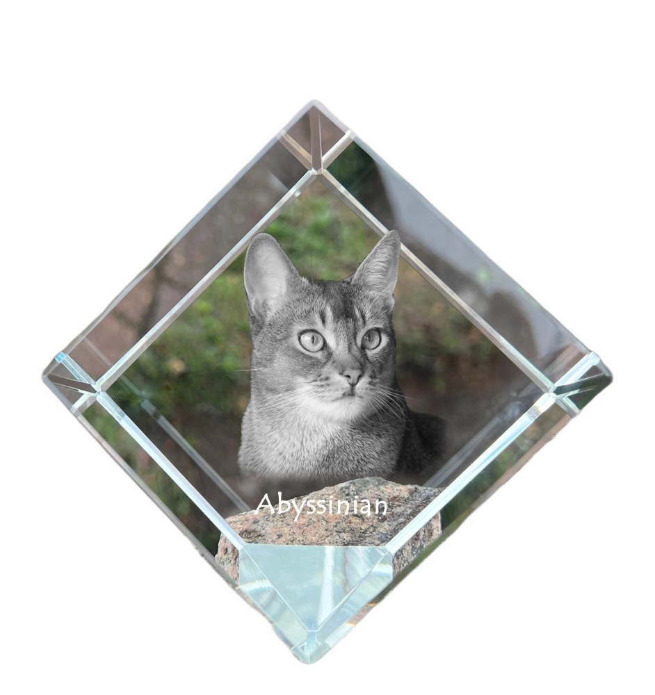Abessinier - Kristallwürfel mit Katzenbild, Pferdebild im Kristall, sechseckiger Papierclip von der Marke Art-Dog