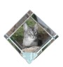 Abyssinian - crystal cube with a picture of a cat, crystal with a picture of a horse, cubic paperweight by Art-Dog brand