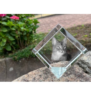 Abyssinian - crystal cube with a picture of a cat, crystal with a picture of a horse, cubic paperweight by Art-Dog brand