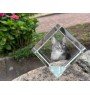 Abyssin - un cube en cristal avec une photo de chat, une photo de cheval dans le cristal, un presse-papiers cubique de la marque Art-Dog