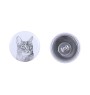 Abyssinian - earrings with a beloved cat, own photo, perfect gadget for cat lovers from the Art.-Dog brand.