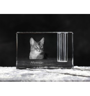 Abessinier - Stifthalter, Kristallorganizer mit Katzenfoto, einzigartige Schreibtischdekoration der Marke Art-Dog