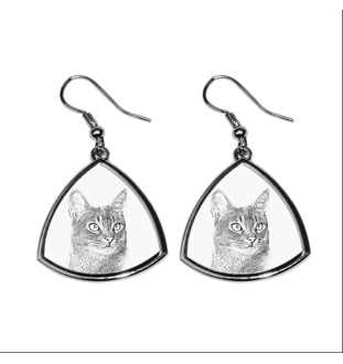 Abyssin - boucles d'oreilles avec un chat, boucles d'oreilles pendantes avec une image, bijoux personnalisés avec l'impression de la marque Art-Dog