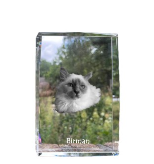 Birman - crystal with a picture of a cat, photo in glass, modern exhibition of Art-Dog brand photo