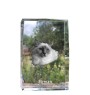 Birman - crystal with a picture of a cat, photo in glass, modern exhibition of Art-Dog brand photo