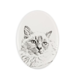 Birman - commemorative plaque with a cat photo, tombstone with a print, personalized oval plaque from the Art-Dog brand