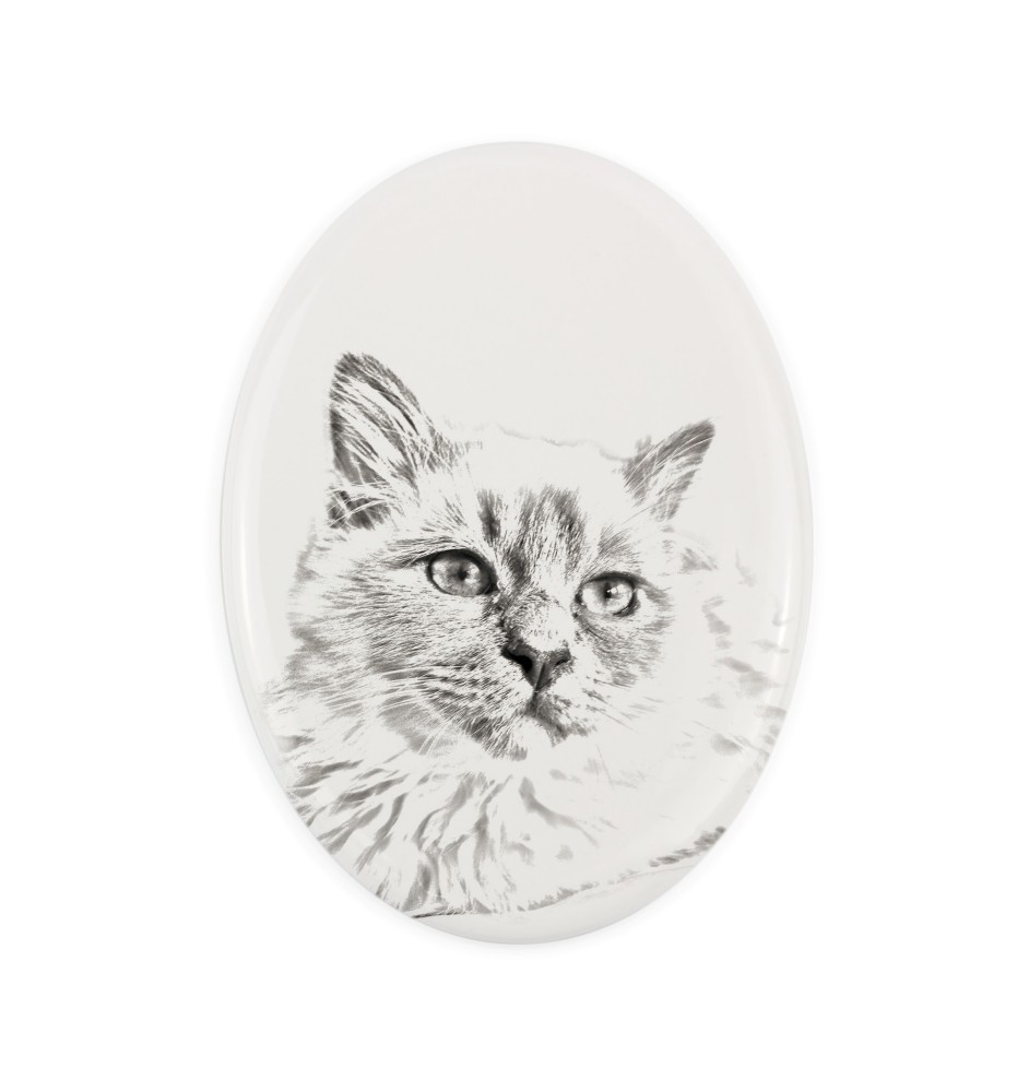 Birman - commemorative plaque with a cat photo, tombstone with a print, personalized oval plaque from the Art-Dog brand