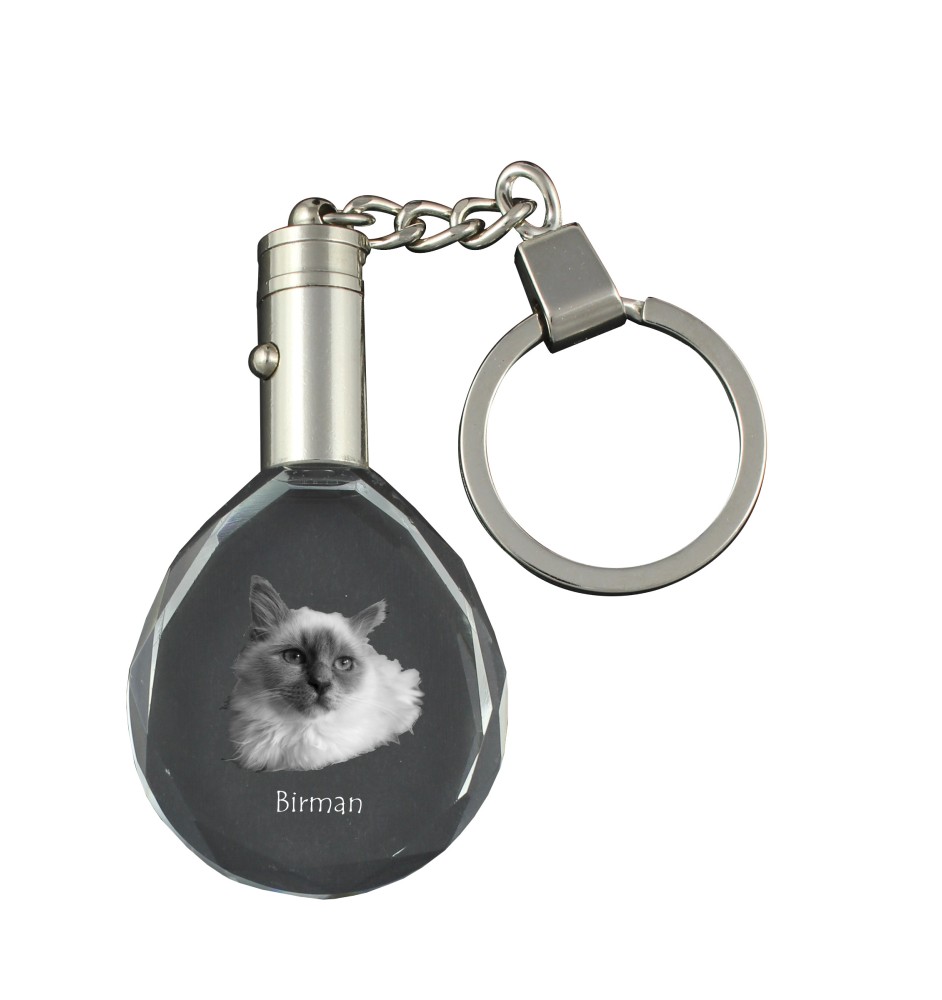 Birma - Fob with cat photo, crystal key ring in gift box, unique gift by Art-Dog brand