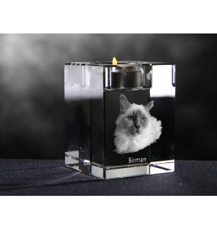 Birman - Candle holder with cat photo, crystal tealight holder, personalised gift by Art-Dog brand
