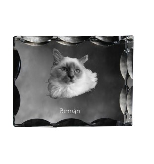 Birman - crystal with a cat picture, glass statuette with a picture, unique frame with a picture from Art-Dog brand
