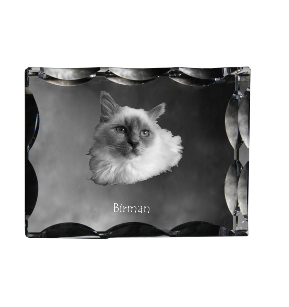 Birman ramka kryształowa z kotem Art-Dog
