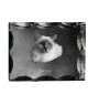 Birman - crystal with a cat picture, glass statuette with a picture, unique frame with a picture from Art-Dog brand