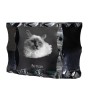 Birman - crystal with a cat picture, glass statuette with a picture, unique frame with a picture from Art-Dog brand