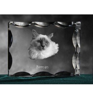 Birma - Kristall mit Katzenbild, Glasstatuette mit Bild, einzigartiger Bilderrahmen der Marke Art-Dog