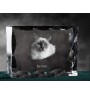 Birman - crystal with a cat picture, glass statuette with a picture, unique frame with a picture from Art-Dog brand