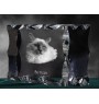 Birma - Kristall mit Katzenbild, Glasstatuette mit Bild, einzigartiger Bilderrahmen der Marke Art-Dog