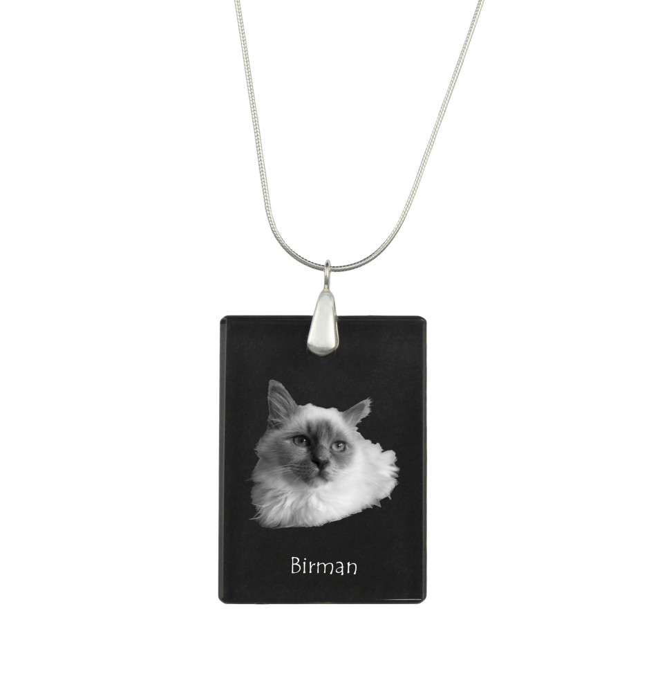 Birma - Crystal pendant with cat, silver necklace with photo, personalised pendant by Art-Dog brand