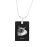 Birman - Crystal pendant with cat, silver necklace with photo, personalised pendant by Art-Dog brand